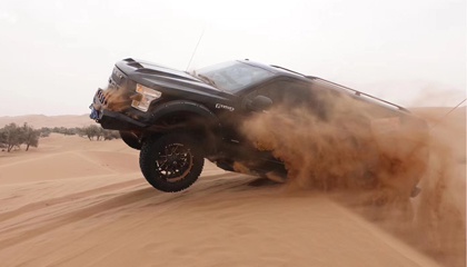 狂野不羁的勇猛者